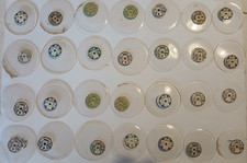 LOTTO DI 28 VETRI ANTICHI MA