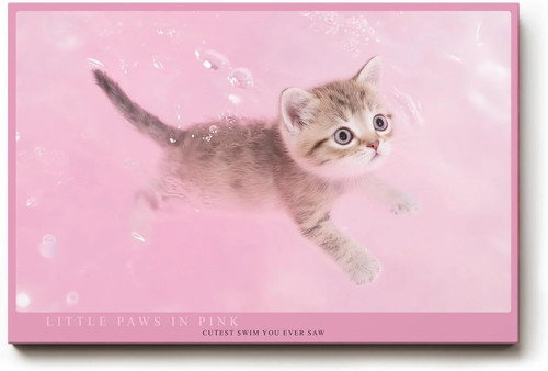 Quadro sinus art dolce - dolce, gattino