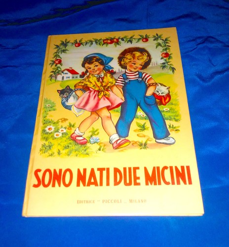 Sono nati due micini - nati,
