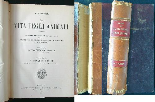 Vita degli animali - vita,