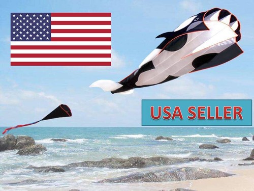 Kids killer whale fish - kids,