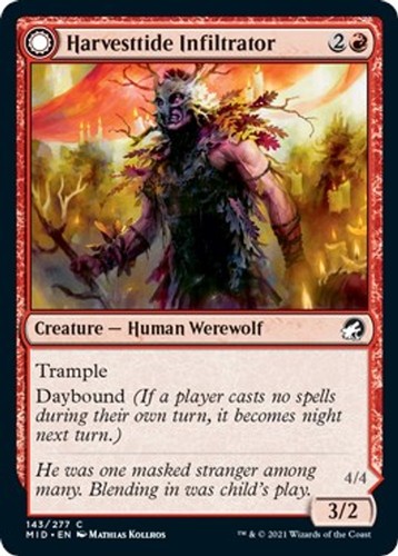 Infiltratore harvettide mid - -,