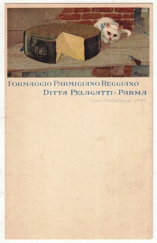 Cartolina postale - cartolina,