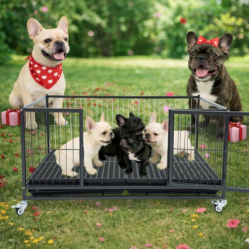 Box per cuccioli - di, cane