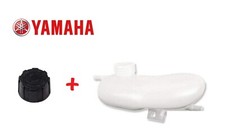 VASCHETTA LIQUIDO + TAPPO