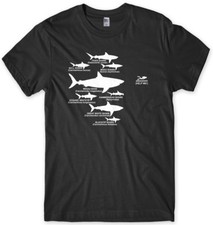 T-shirt uomo unisex Shark