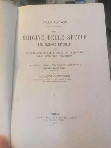 Origine delle specie - origine,
