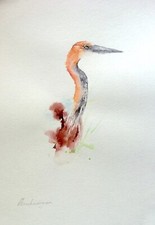 Bird,  Birds, Watercolor