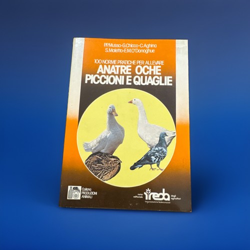 Anatre oche piccioni quaglie - anatre,