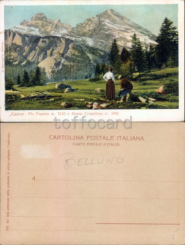 Offerta belluno - *offerta*,