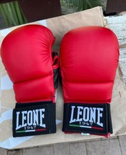Guanti Leone Karate Kumite