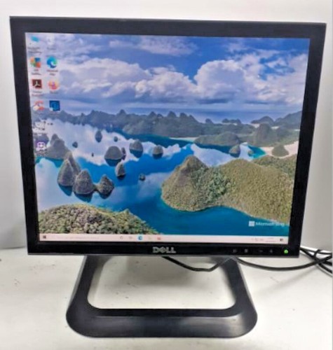 Monitor dell 1708fpt - monitor, 17’’