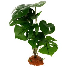  Piante Finte Per Terrario