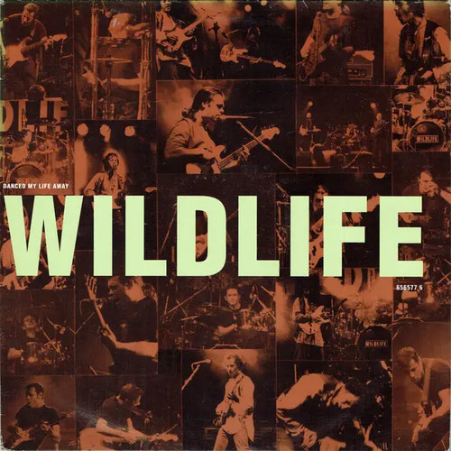 Wildlife danced life away - danced,