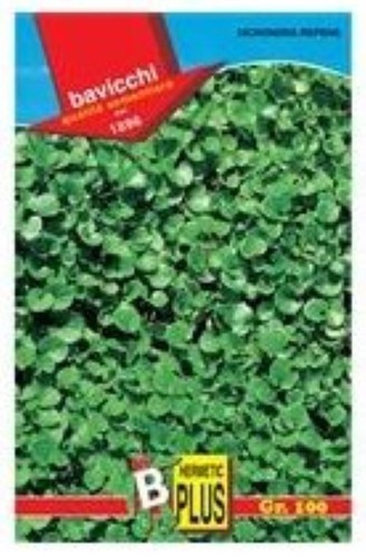 Seme per prato dichondra - per,