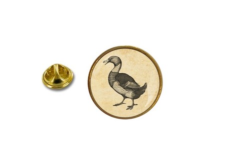 Spilla pin badge in - pin,