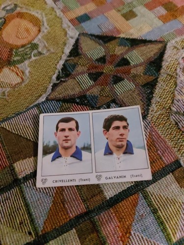 Figurina panini calciatori - figurina,