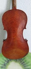 n.913 vecchio violino 