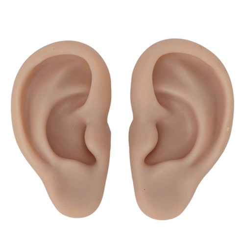 Modello orecchio silicone - orecchio,
