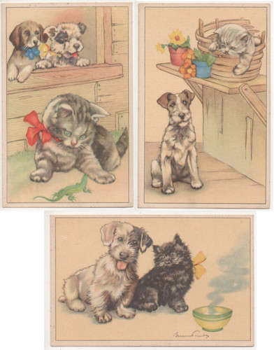Cagnolini gattini 3 - gattini,