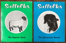 2 SUFFOLK SHEEP Superior SIRES