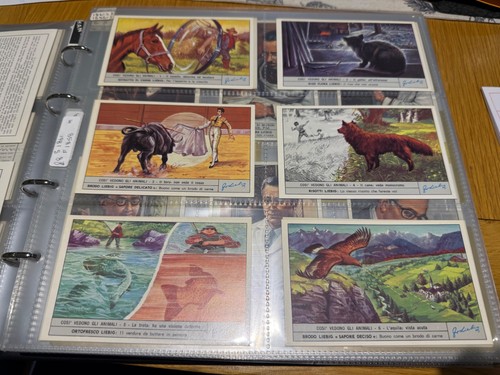 Liebig trade cards - liebig, 50