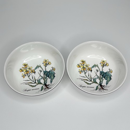 Villeroy boch botanica - villeroy,