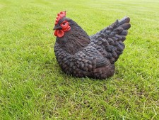 Statua da giardino pollo