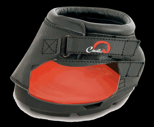 Cavallo cuscinetti gel - cuscinetti,