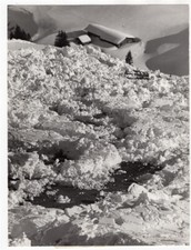 1975 Simmental Valley vicino