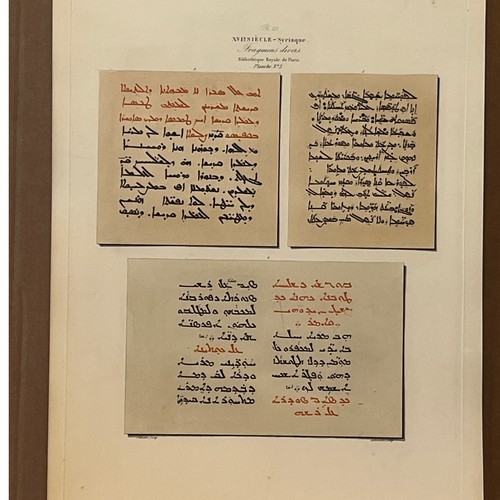 Targa paleografia universale