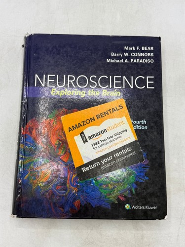 Neuroscience exploring the - neuroscience,