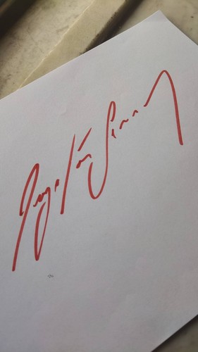 Ayrton senna signed - ayrton,