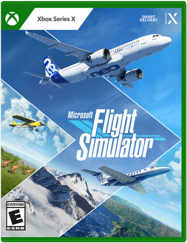 Flight simulator standard - simulator,