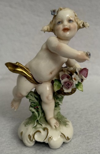 Cappé statuina - g.,