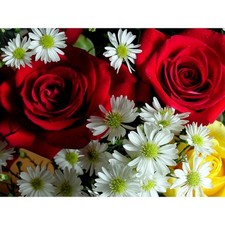 Cialda In Ostia Fiori Rose