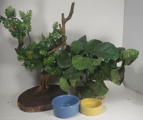 Starter set per piccoli - set,