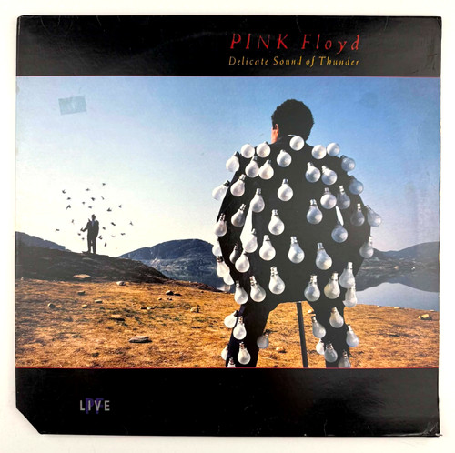 Pink floyd delicate - pink,