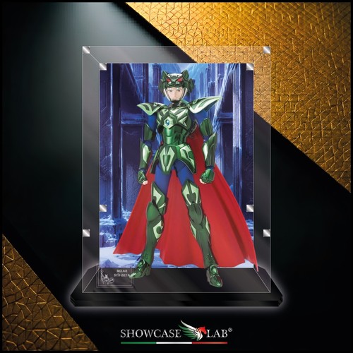 Teca plexiglass - in,