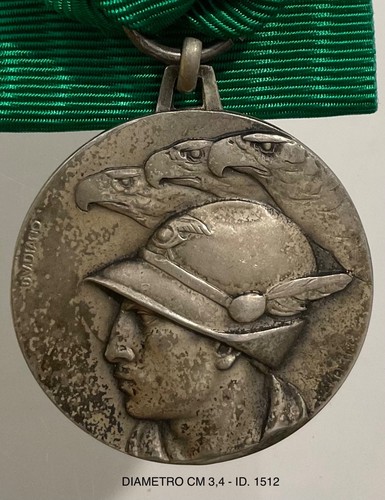 Alpini xiiia adunata del - alpini,