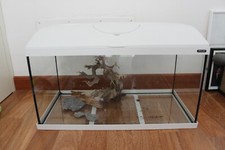 Set completo: acquario 60L con illuminazione e accessori.