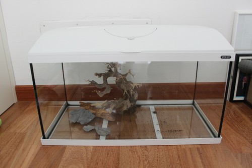 Set completo acquario 60l con - acquario,