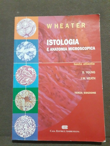 Istologia anatomia - istologia, e