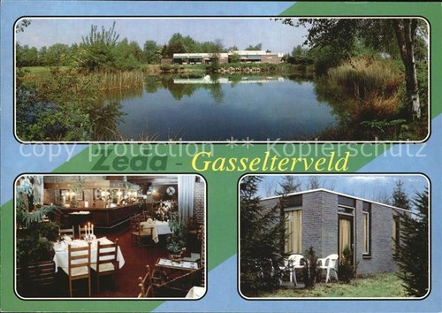 Gasselte hunze zeda - aa,