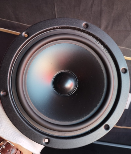 Woofer quarto n - x,