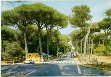 FREGENE FIUMICINO ROMA Viale della Pineta