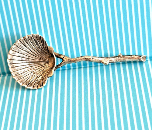Bellissima rara conchiglia - bellissima,