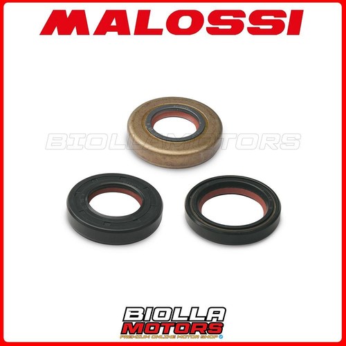 6619820 serie paraolio malossi - 6619820,