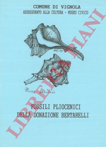 Paleontologia modena - -,