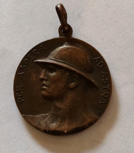 Johnson 1919 medaglia - 1919,